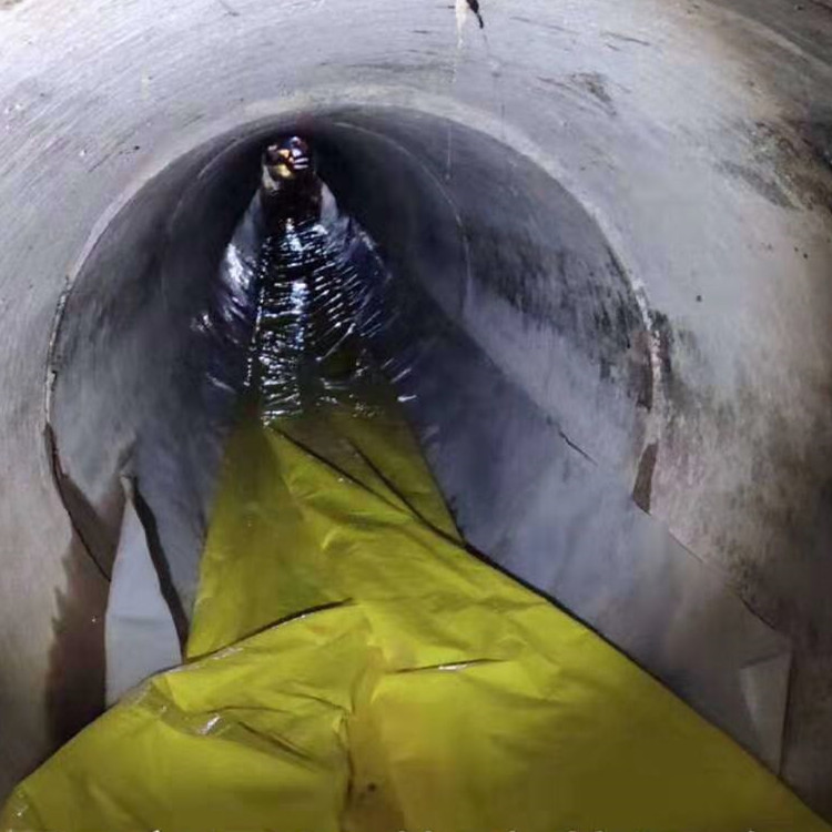 大成镇管道光固化修复